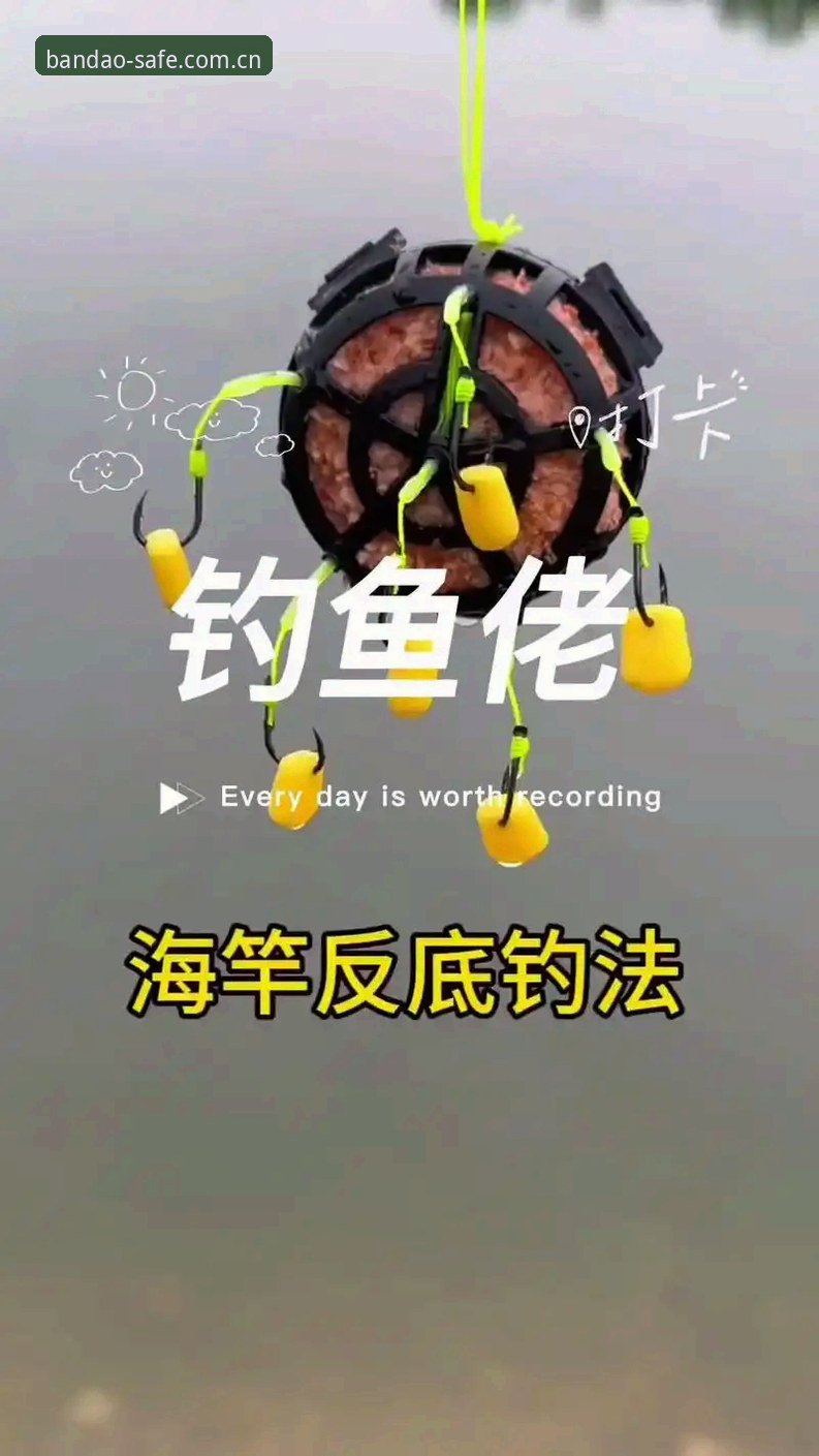 掌握正宗半岛官网必备的实用技巧，远离钓鱼陷阱